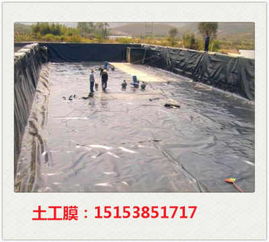 高要垃圾場(chǎng)土工膜廠家直銷與藕池防滲膜應(yīng)用解析 專業(yè)土工膜的選擇與價(jià)值